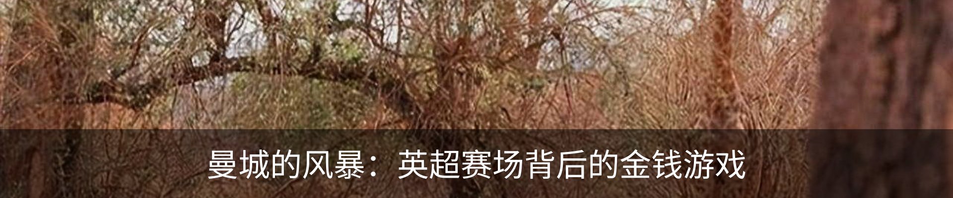 资讯中心