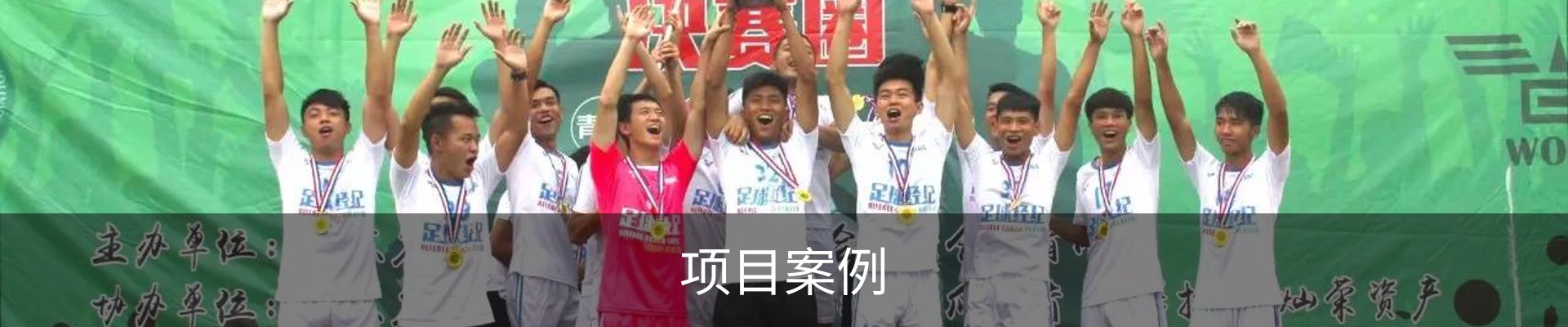 项目案例